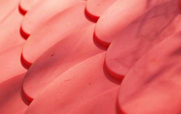 Pins Green plastic roof costs